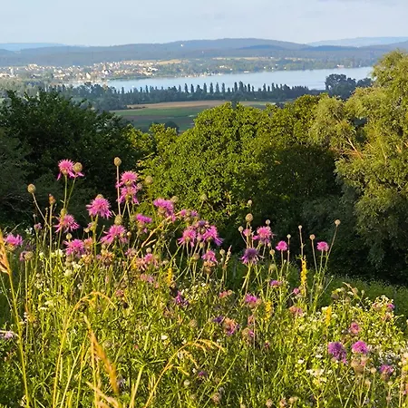 Bo'seeanna I * Bohlingen (Singen)